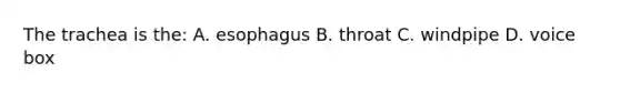 The trachea is the: A. esophagus B. throat C. windpipe D. voice box