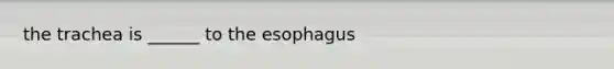 the trachea is ______ to the esophagus