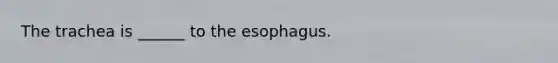 The trachea is ______ to the esophagus.