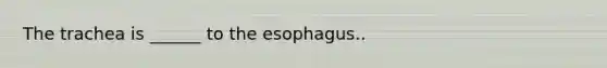 The trachea is ______ to the esophagus..