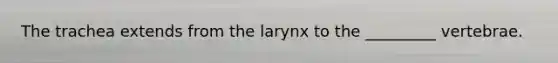 The trachea extends from the larynx to the _________ vertebrae.