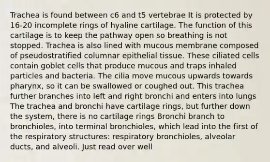 Trachea is found between c6 and t5 vertebrae It is protected by 16-20 incomplete rings of hyaline cartilage. The function of this cartilage is to keep the pathway open so breathing is not stopped. Trachea is also lined with mucous membrane composed of pseudostratified columnar <a href='https://www.questionai.com/knowledge/k7dms5lrVY-epithelial-tissue' class='anchor-knowledge'>epithelial tissue</a>. These ciliated cells contain goblet cells that produce mucous and traps inhaled particles and bacteria. The cilia move mucous upwards towards pharynx, so it can be swallowed or coughed out. This trachea further branches into left and right bronchi and enters into lungs The trachea and bronchi have cartilage rings, but further down the system, there is no cartilage rings Bronchi branch to bronchioles, into terminal bronchioles, which lead into the first of the respiratory structures: respiratory bronchioles, alveolar ducts, and alveoli. Just read over well