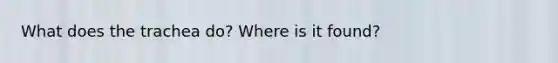 What does the trachea do? Where is it found?