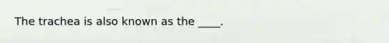 The trachea is also known as the ____.