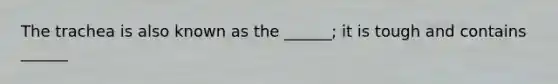 The trachea is also known as the ______; it is tough and contains ______