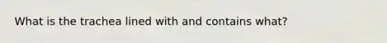 What is the trachea lined with and contains what?