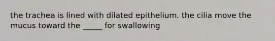 the trachea is lined with dilated epithelium. the cilia move the mucus toward the _____ for swallowing