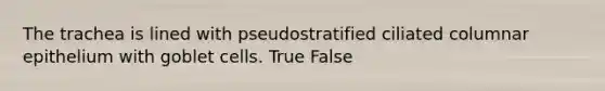 The trachea is lined with pseudostratified ciliated columnar epithelium with goblet cells. True False