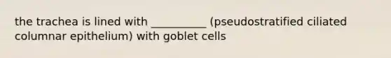 the trachea is lined with __________ (pseudostratified ciliated columnar epithelium) with goblet cells