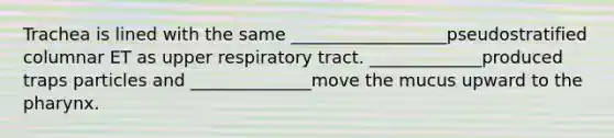 Trachea is lined with the same __________________pseudostratified columnar ET as upper respiratory tract. _____________produced traps particles and ______________move the mucus upward to the pharynx.