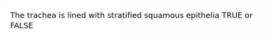 The trachea is lined with stratified squamous epithelia TRUE or FALSE