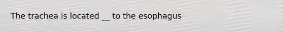 The trachea is located __ to the esophagus