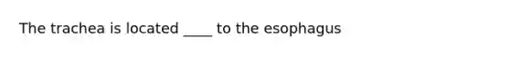 The trachea is located ____ to the esophagus