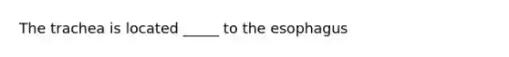 The trachea is located _____ to the esophagus