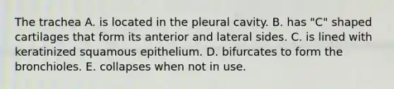 The trachea A. is located in the pleural cavity. B. has "C" shaped cartilages that form its anterior and lateral sides. C. is lined with keratinized squamous epithelium. D. bifurcates to form the bronchioles. E. collapses when not in use.