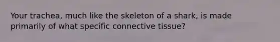 Your trachea, much like the skeleton of a shark, is made primarily of what specific connective tissue?