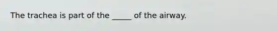 The trachea is part of the _____ of the airway.