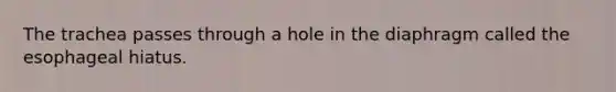 The trachea passes through a hole in the diaphragm called the esophageal hiatus.