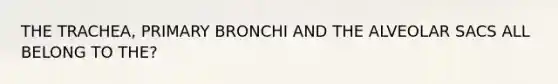 THE TRACHEA, PRIMARY BRONCHI AND THE ALVEOLAR SACS ALL BELONG TO THE?