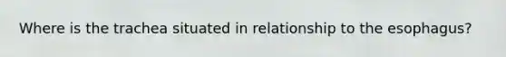 Where is the trachea situated in relationship to the esophagus?