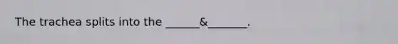 The trachea splits into the ______&_______.