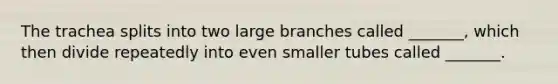 The trachea splits into two large branches called _______, which then divide repeatedly into even smaller tubes called _______.