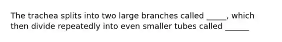 The trachea splits into two large branches called _____, which then divide repeatedly into even smaller tubes called ______