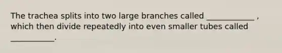 The trachea splits into two large branches called ____________ , which then divide repeatedly into even smaller tubes called ___________.