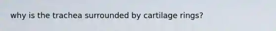 why is the trachea surrounded by cartilage rings?