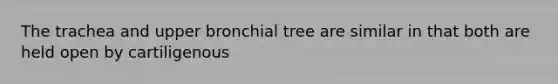 The trachea and upper bronchial tree are similar in that both are held open by cartiligenous