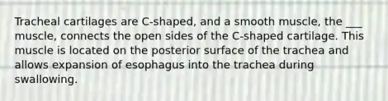 Tracheal cartilages are C-shaped, and a smooth muscle, the ___ muscle, connects the open sides of the C-shaped cartilage. This muscle is located on the posterior surface of the trachea and allows expansion of esophagus into the trachea during swallowing.