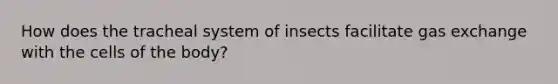 How does the tracheal system of insects facilitate gas exchange with the cells of the body?