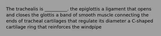 The trachealis is __________. the epiglottis a ligament that opens and closes the glottis a band of smooth muscle connecting the ends of tracheal cartilages that regulate its diameter a C-shaped cartilage ring that reinforces the windpipe