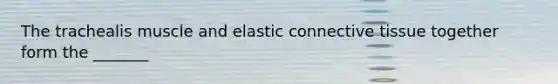 The trachealis muscle and elastic <a href='https://www.questionai.com/knowledge/kYDr0DHyc8-connective-tissue' class='anchor-knowledge'>connective tissue</a> together form the _______