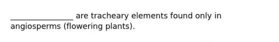 ________________ are tracheary elements found only in angiosperms (flowering plants).