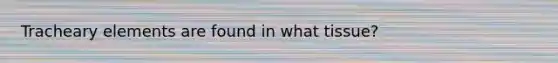 Tracheary elements are found in what tissue?
