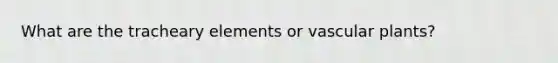 What are the tracheary elements or vascular plants?