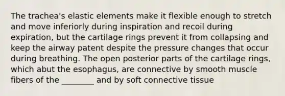 The trachea's elastic elements make it flexible enough to stretch and move inferiorly during inspiration and recoil during expiration, but the cartilage rings prevent it from collapsing and keep the airway patent despite the pressure changes that occur during breathing. The open posterior parts of the cartilage rings, which abut the esophagus, are connective by smooth muscle fibers of the ________ and by soft connective tissue