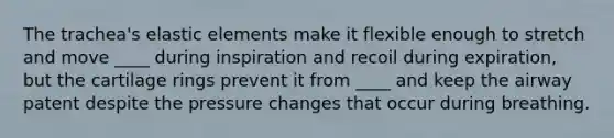 The trachea's elastic elements make it flexible enough to stretch and move ____ during inspiration and recoil during expiration, but the cartilage rings prevent it from ____ and keep the airway patent despite the pressure changes that occur during breathing.