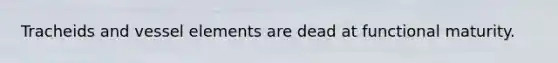 Tracheids and vessel elements are dead at functional maturity.
