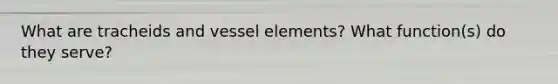 What are tracheids and vessel elements? What function(s) do they serve?