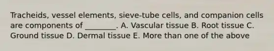 Tracheids, vessel elements, sieve-tube cells, and companion cells are components of ________. A. Vascular tissue B. Root tissue C. Ground tissue D. Dermal tissue E. More than one of the above