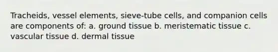 Tracheids, vessel elements, sieve-tube cells, and companion cells are components of: a. ground tissue b. meristematic tissue c. vascular tissue d. dermal tissue