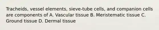 Tracheids, vessel elements, sieve-tube cells, and companion cells are components of A. Vascular tissue B. Meristematic tissue C. <a href='https://www.questionai.com/knowledge/kb0kKBaH0H-ground-tissue' class='anchor-knowledge'>ground tissue</a> D. <a href='https://www.questionai.com/knowledge/kRKdINDJId-dermal-tissue' class='anchor-knowledge'>dermal tissue</a>