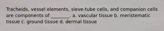 Tracheids, vessel elements, sieve-tube cells, and companion cells are components of ________. a. vascular tissue b. meristematic tissue c. ground tissue d. dermal tissue