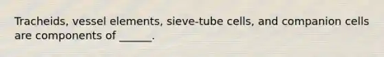Tracheids, vessel elements, sieve-tube cells, and companion cells are components of ______.