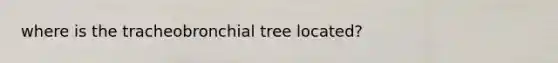 where is the tracheobronchial tree located?