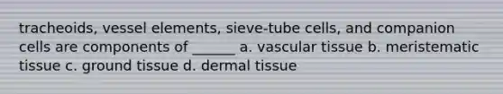 tracheoids, vessel elements, sieve-tube cells, and companion cells are components of ______ a. vascular tissue b. meristematic tissue c. ground tissue d. dermal tissue