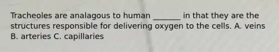 Tracheoles are analagous to human _______ in that they are the structures responsible for delivering oxygen to the cells. A. veins B. arteries C. capillaries