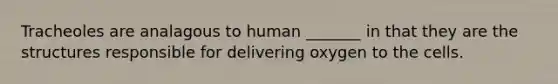 Tracheoles are analagous to human _______ in that they are the structures responsible for delivering oxygen to the cells.